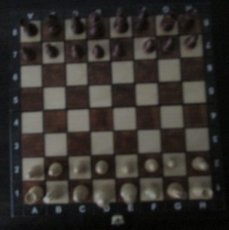 Magnetisch schaakspel, Hoge kwaliteit, 24 x 24 cm