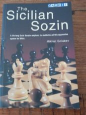 31570 Golubev, M. The Sicilian Sozin
